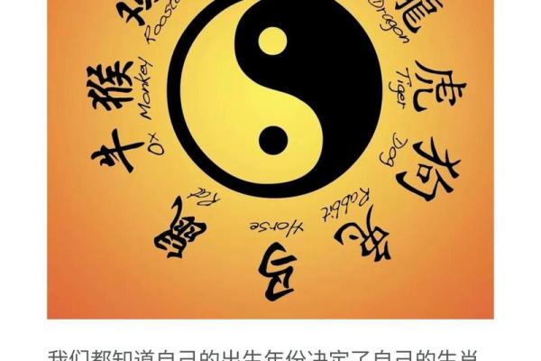 属猴的命与属什么命最合适？揭秘最佳配对！