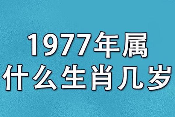1977年出生的牛,命运与性格的深度解析 1977年出生的牛,命运与性格的深度解析