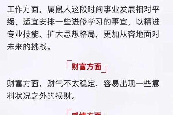 2019年属鼠：命理解析与生活指导，助你好运连连！