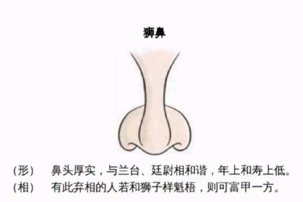 2007年属猪的命运解析：富贵与智慧的启示