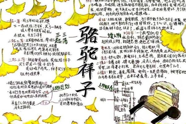 1992年生人属什么命？揭示命运的秘密与生活智慧
