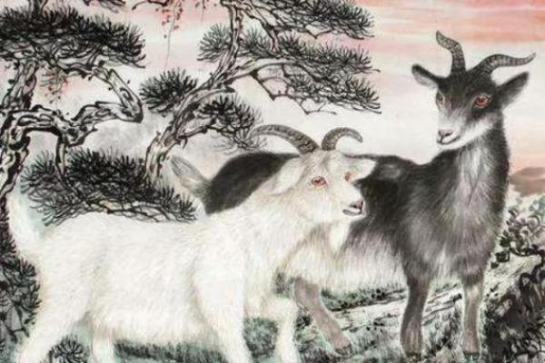 1979年属羊的命运分析与人生启示