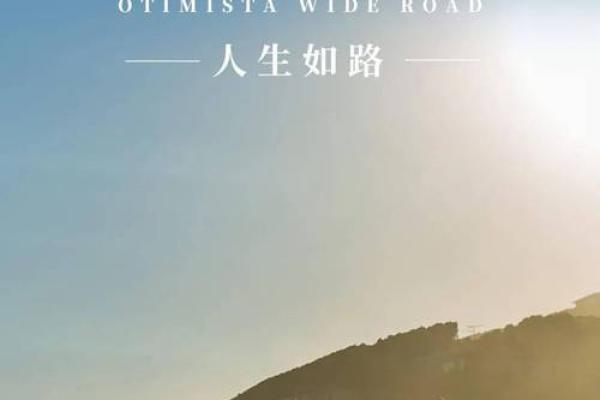 命运的接力:从命运到心灵的绚丽旅程 命运的接力:从命运到心灵的绚丽旅程