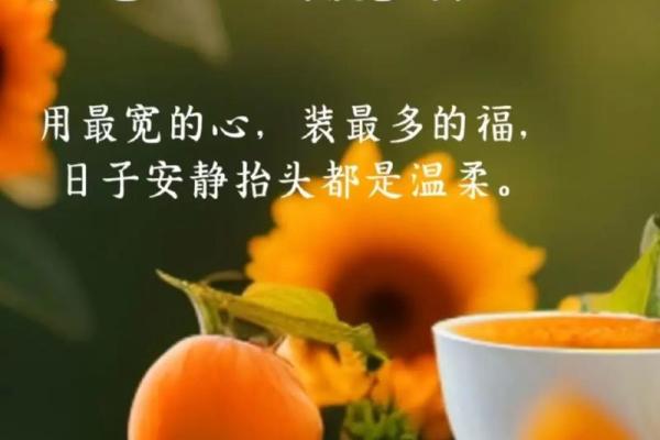 属狗农历正月十七出生的命运解析与生活指导