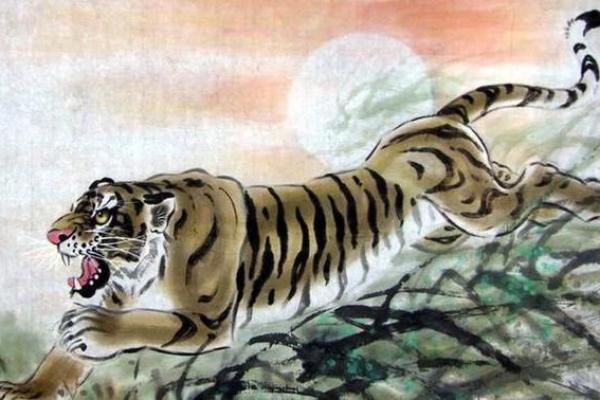 1976年男虎命：探索其命运与性格的奥秘