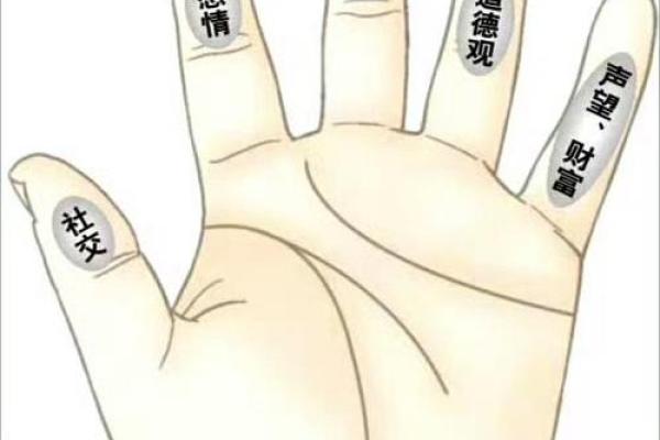 揭示手指长度与财富运势的微妙关系 揭示手指长度与财富运势的微妙关系