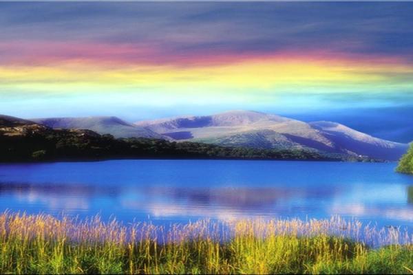 2019年正月猪命解析:寻找人生的方向与机遇 2019年正月猪命解析:寻找人生的方向与机遇