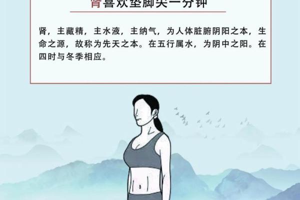 探索肺脾命的奥秘：理解身体与命运的深刻联系