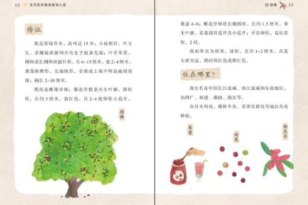 1994年9月出生的人：性格与命运的探秘之旅