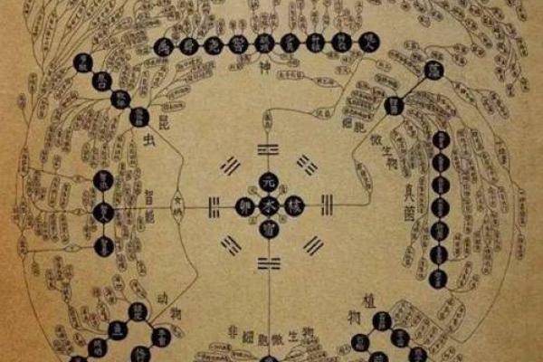 1979年的命运解读：探索命理背后的秘密与人生启示