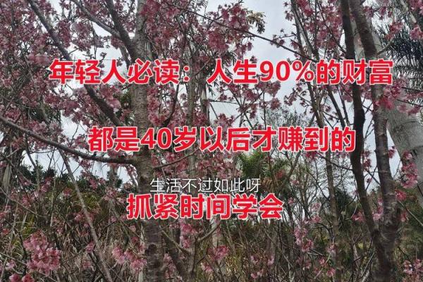 揭开1448万的神秘面纱：命理中的财富密码与人生轨迹