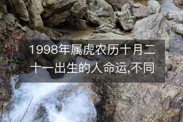 1998年出生的人命运解析:探索你的性格与未来发展 1998年出生的人命运解析:探索你的性格与未来发展