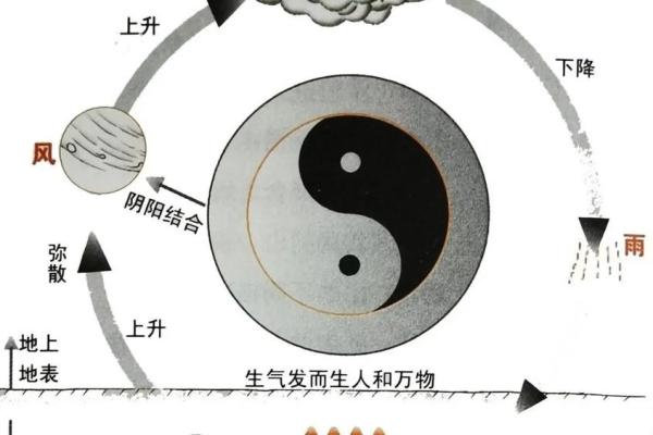 男命离婚再婚的命理秘诀:揭开命运的面纱与新生的希望 男命离婚再婚的命理秘诀:揭开命运的面纱与新生的希望