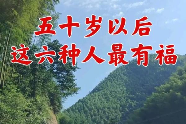 50多岁属猪人的命运与智慧：人生的灵感与指引