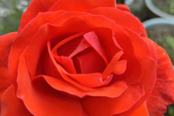 探秘麒麟命人:不凡命运与独特特质的结合 探秘麒麟命人:不凡命运与独特特质的结合