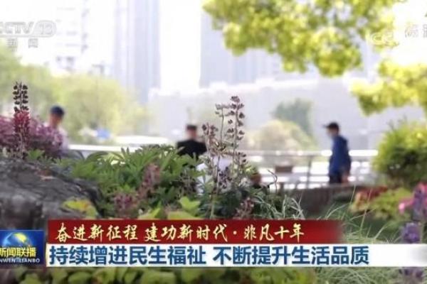 如何借助玄龙之命命格，提升个人发展与生活品质