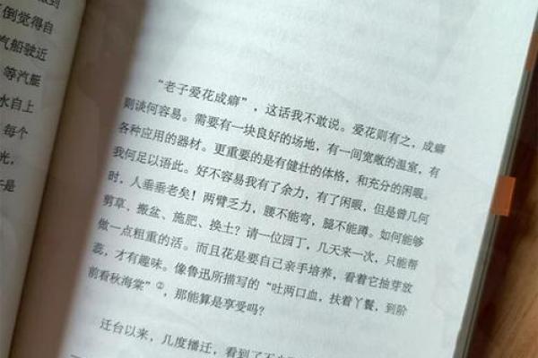 探寻“付命之”的深意与启示：生命中的责任与奉献