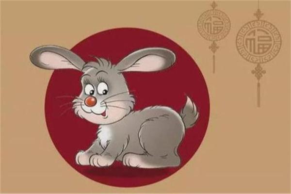 1986年属兔者的命运与生活哲学探究