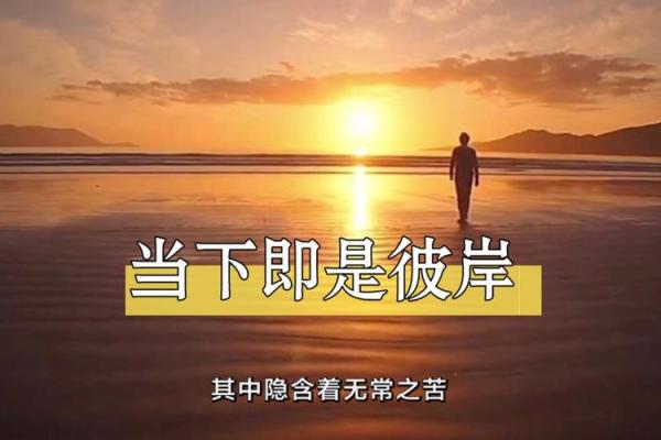 火命与水命的化解之道：如何找到内心的平衡与和谐