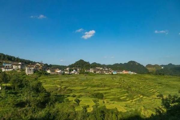 1968年：探索变革与创造希望的一年