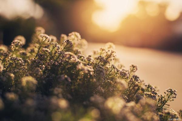 一命归西，化悲痛为力量，勇敢迎接生命的挑战