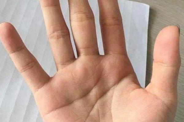 2029年狗年,命理揭秘:你属于哪一种命?一探究竟! 2029年狗年,命理揭秘:你属于哪一种命?一探究竟!