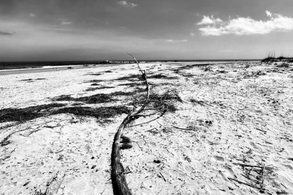发现1965年木命的奇妙人生旅程与机遇 发现1965年木命的奇妙人生旅程与机遇