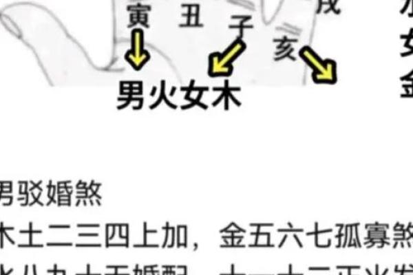 木命与金命之间的反克关系探讨与应用