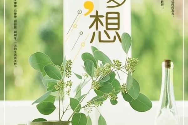 探秘农历1030：解读你的命运与潜能