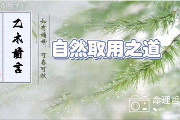 2019年出生的宝宝命理解析：探寻他们的独特命运与成长之道