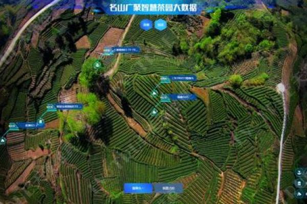 探秘数字背后的命运:2000628的深意与启示 探秘数字背后的命运:2000628的深意与启示