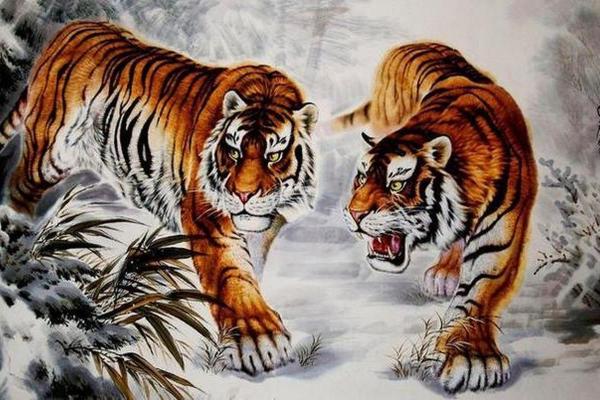 2022年属虎命人如何迎接机遇与挑战,活出精彩人生! 2022年属虎命人如何迎接机遇与挑战,活出精彩人生!