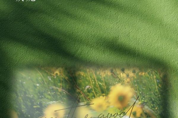 揭开1987命理之谜：了解这年出生的你与未来的关系