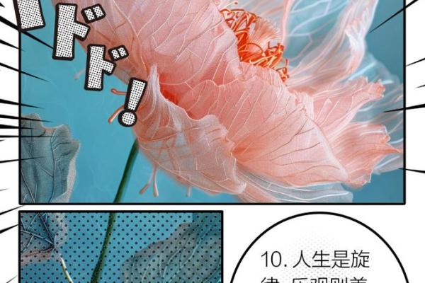 揭秘1980年属猴人的命理特征与人生旅程