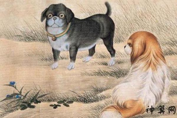 2021属狗人命运解析：探索你的性格与未来发展之路