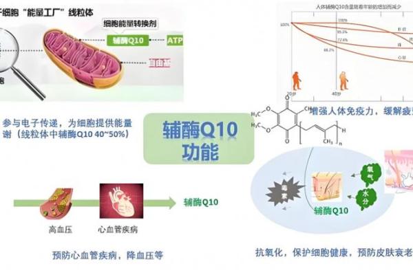 19736年的命运解析:揭开未来的神秘面纱 19736年的命运解析:揭开未来的神秘面纱