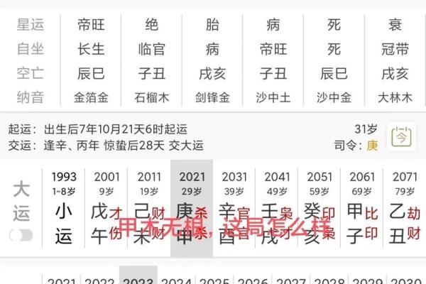 命理无根之命的深层解析与人生指引 命理无根之命的深层解析与人生指引