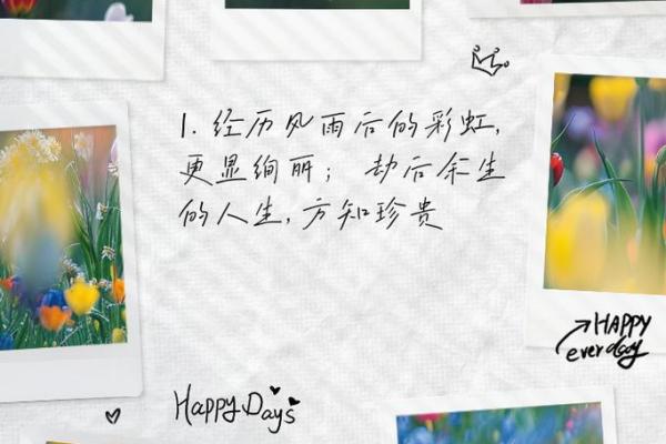 为什么有些人的生命更显珍贵？探索生命价值的不同层面