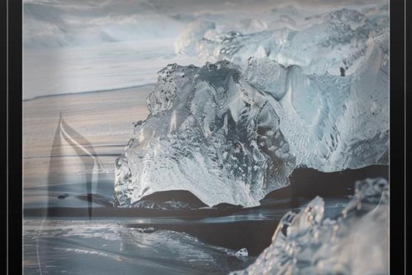 为什么有些人的生命更显珍贵？探索生命价值的不同层面