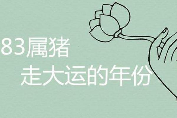 2009年属猪人的命理解析与人生运势