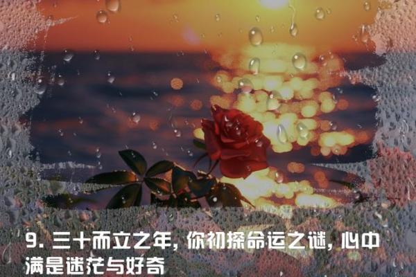 揭开1990腊月28出生者的命运之谜与人生特征