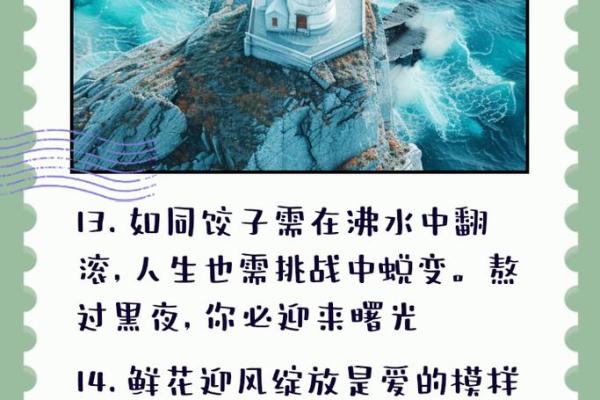 命运的重担：在逆境中成长与坚持的旅程