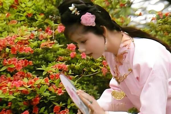 命中注定：探索成语的深刻意蕴与生活启示