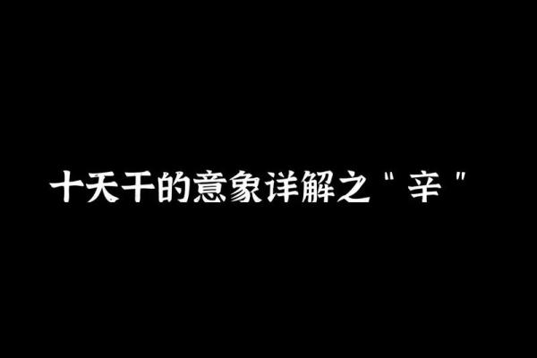 戌土命与其他命理的最佳搭配：探寻和谐的命运之路