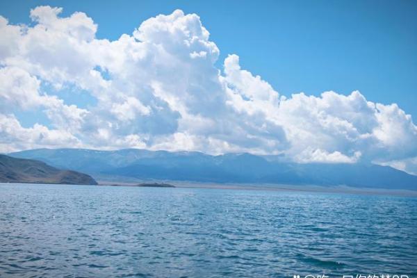 1863年命的故事：历史长河中的璀璨星辰