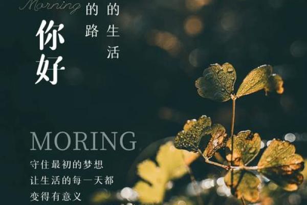 2025年出生宝宝的命运与未来:如何培育出幸福成功的人生 2025年出生宝宝的命运与未来:如何培育出幸福成功的人生