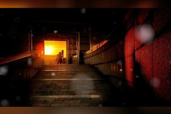 命主起伏人生:探寻命运背后的原因与不懈追求的新生 命主起伏人生:探寻命运背后的原因与不懈追求的新生