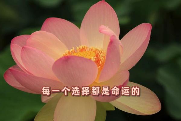 93年冬月24日:命运的转折点与人生的启示 93年冬月24日:命运的转折点与人生的启示