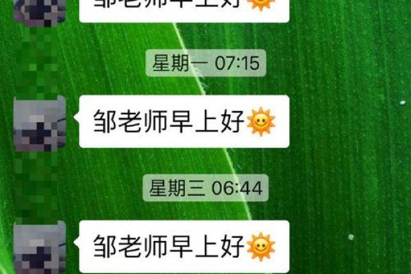 探秘梅花命:蕴含在命理中的灵动智慧与人生启示 探秘梅花命:蕴含在命理中的灵动智慧与人生启示