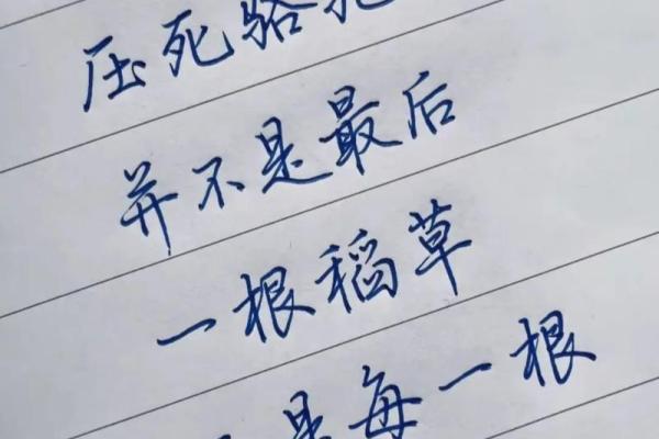 为什么越信命的人，最后往往不信命？探究背后的原因与心路历程